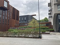 Litva 20_25_5_2025x056.JPG