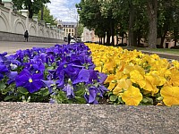Litva 20_25_5_2025x085.JPG