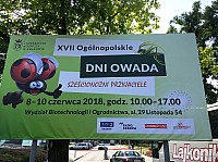 Krakow18x01.jpg