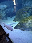 Nemecko 26x182.jpg