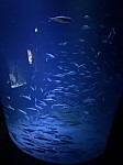 Nemecko 26x184.jpg