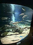 Nemecko 26x189.jpg